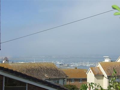 Picture 5